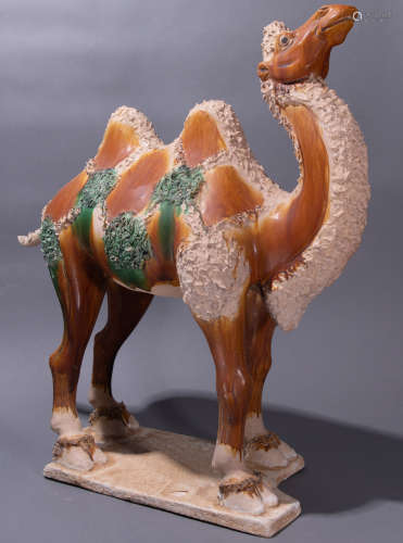 ancient Chinese Tang Tri-Color Glazed Ceramics camel中國古代唐三彩駱駝