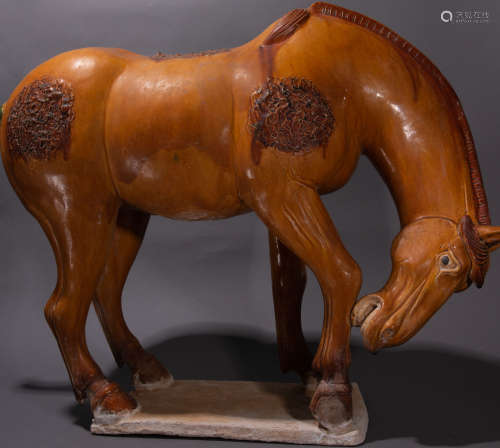 ancient Chinese Tang Tri-Color Glazed Ceramics yellow glazed horse中國古代唐三彩黃釉馬