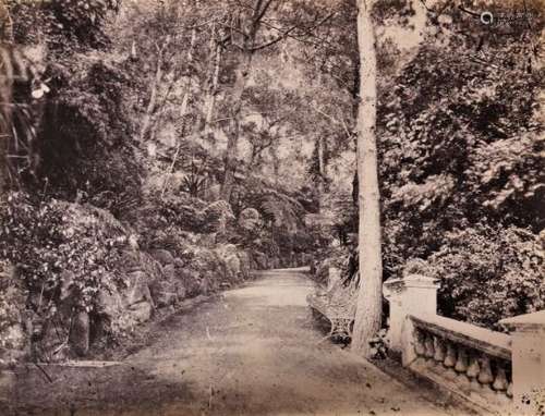 LAI AFONG, seven albumen prints, views of Hong Kong including botanical gardens, 21cm x 27cmPlease