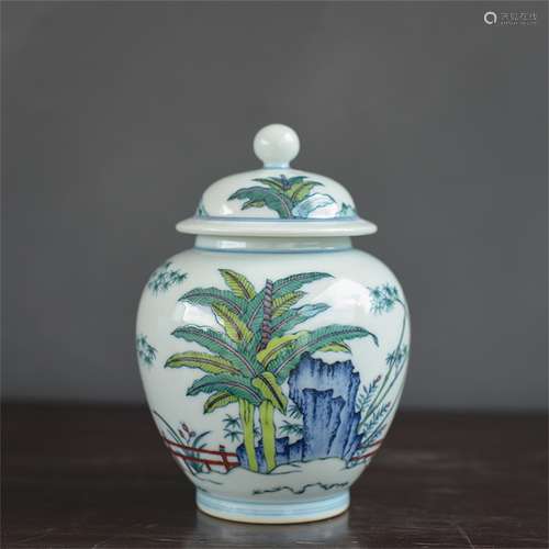 A Chinese Dou-Cai Porcelain Jar