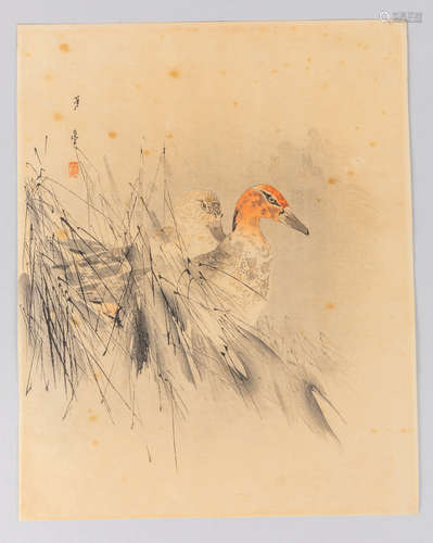 Japanese Antique Painting of Cormorant