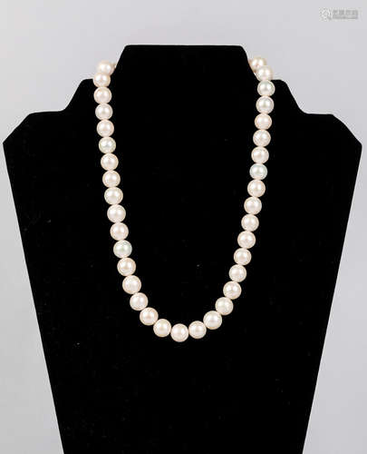 Collectible Sea Pearl Necklace