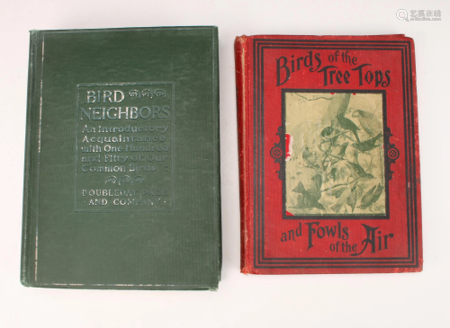 2 ANTIQUE BOOKS ON BIRDS