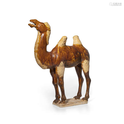 AN AMBER AND STRAW-GLAZED POTTERY FIGURE OF A CAMEL Tang dynasty