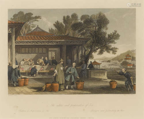 Thomas Allom (1804-1872) The Culture and Preparation of Tea, circa 1840