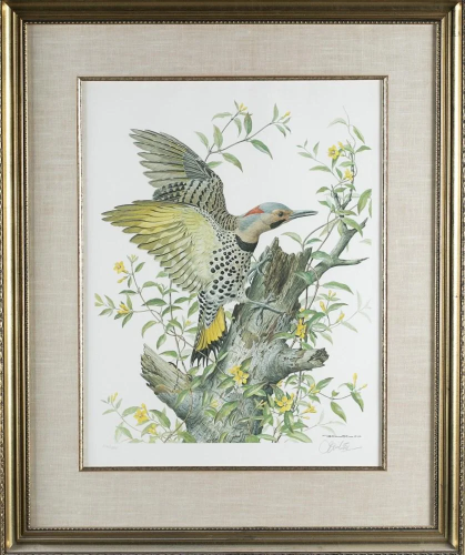 Basil Ede, Yellowhammer woodpecker, print, c.1980s