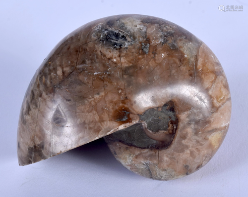 A CARVED STONE FOSSIL. 8 cm x 6 cm.