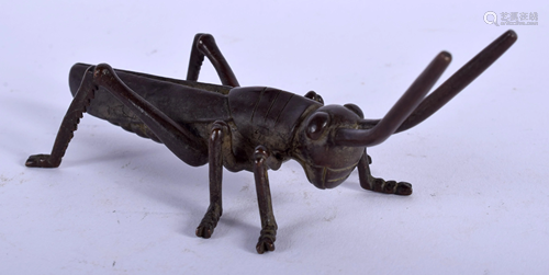 A JAPANESE BRONZE INSECT. 9 cm x 3 cm.