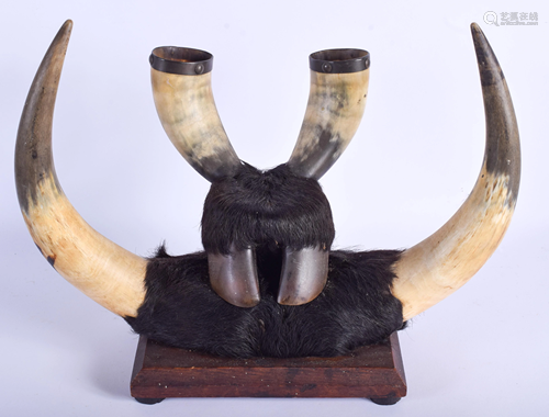 A PAIR OF EARLY 20TH CENTURY TAXIDERMY MOUNT…