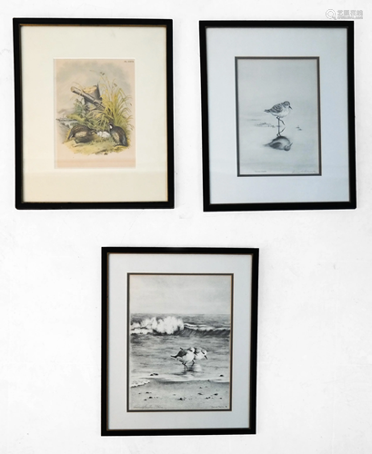 3 Prints: (2) Wildlife by Corinne OERTER, and Anot