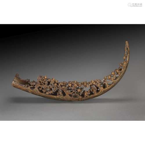 LARGE BUFFLE HORN in the shape of a trunk, carved …