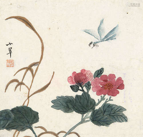 陈小翠 芙蓉蜻蜓