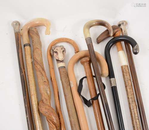 A collection of canes and walking sticks