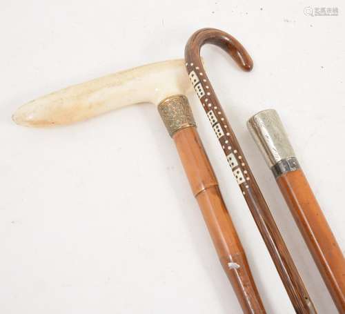 A horn cane inset with miniature ivory dominoes, and two other canes