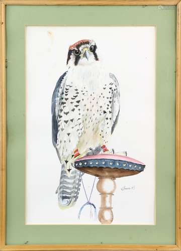 S Thomsett, 20th century, study of an adult Lanner Falcon on it's perch, signed and dated '85,