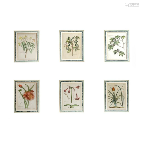 Six (6) Antique Hand Colored Botanical Engravings