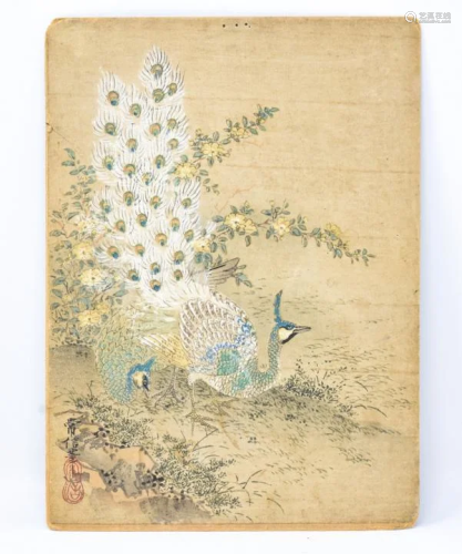 Antique Chinese Signed Peacock Watercolor Painting