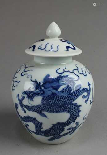 Chinese Blue & White Porcelain Jar