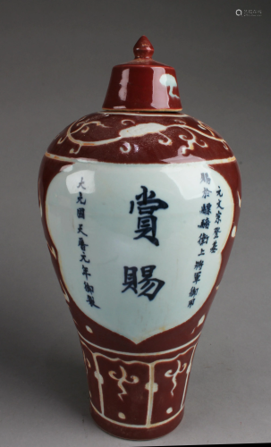Chinese Iron Red Blue & White Porcelain Vase