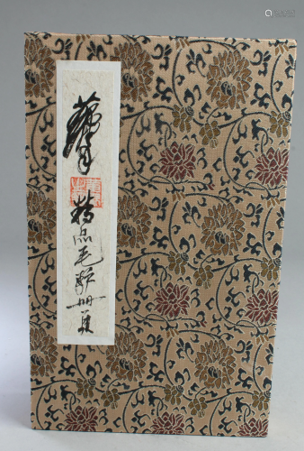 Chinese Painting Book Album