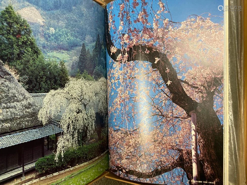 Two Large Book on Japanese Four Seasons and Sc…