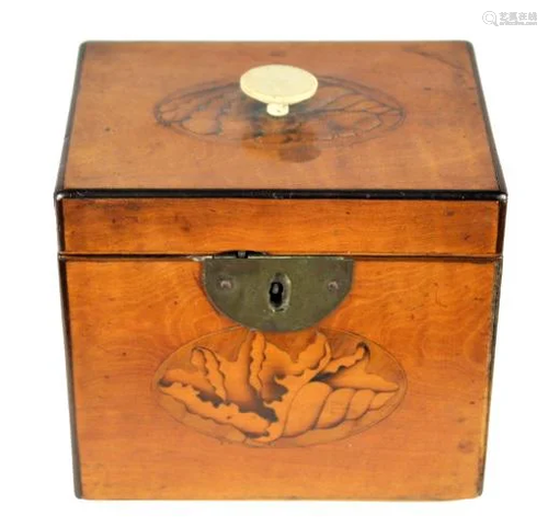 Period Georgian Inalid Shell Rectangular Tea Caddy