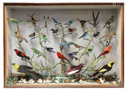 A taxidermy diorama,