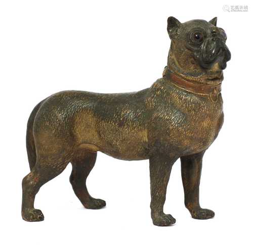 An Austrian terracotta standing pug dog,