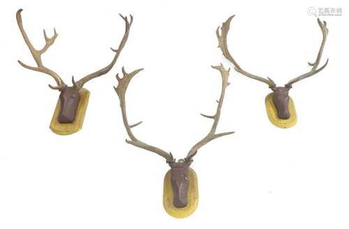 Three pairs of antlers,