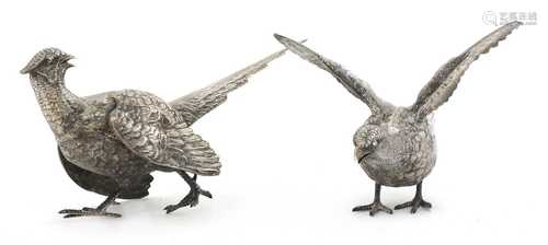 A pair of silver pheasants,