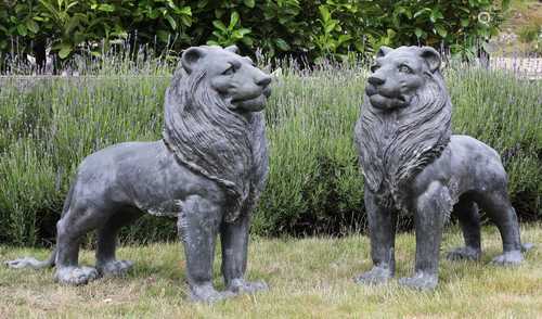 A pair of large bronze lions,