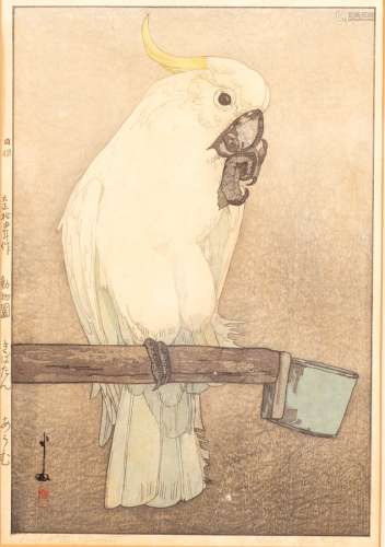 Hiroshi Yoshida (1876-1950)/Kibatan Parrot/woodcut,
