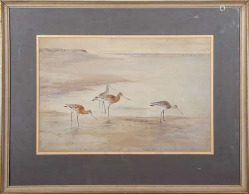 •AR Roland Green (1896-1972), Waders, watercolour, signed lower left, 32 x 48cm