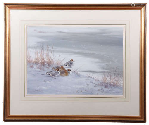 •AR Richard Robjent (Born 1937), Long-tailed Ducks in Winter, watercolour, signed and dated 1985