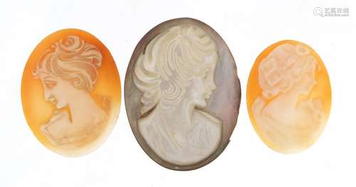 Three oval cameos including an abalone example, the largest 3.5cm high x 2.5cm wide : For