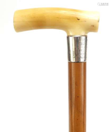 Military interest malacca walking stick with ivory handle and silver collar, engraved with The Royal