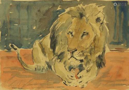 William Brine - African lion, watercolour study, mounted in a white frame, 34cm x 24cm : For