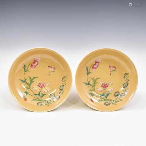 PAIR YONGZHENG BEIGE YELLOW BUTTERFLY PL…