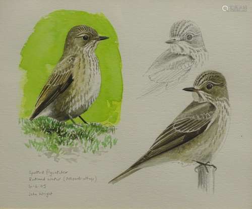 •John Wright (Contemporary British). Studies of a spotted flycatcher at Rutland Water (Fishponds