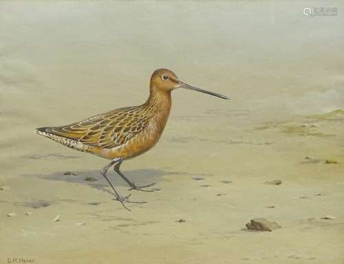 •David Reid-Henry (1919-1977). Study of a curlew on the foreshore, watercolour with bodycolour,