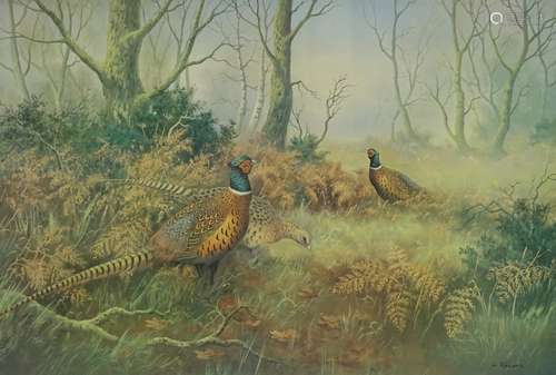 •Wendy Reeves (20thC). Pheasants in woodland, artist signed limited edition coloured print, 228/850,