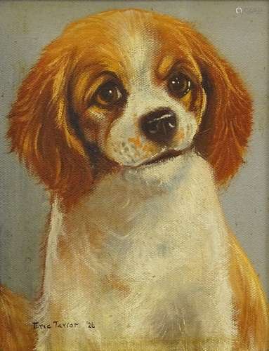 •Eric Taylor (20thC). Studies of Cavalier King Charles spaniels, oil on canvas - pair, signed and