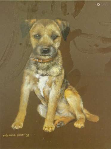 •Pollyanna Pickering (1942-2018). Border Terrier, oil, signed, 37cm x 27.5cm and ten other works.