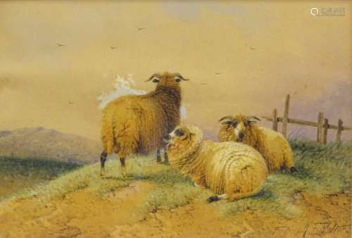 Frederick E. Valter (c.1860-c.1930). Sheep in landscape, watercolour, signed, 15cm x 22.5cm.