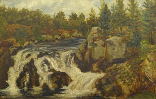 19thC British School. Waterfall fiver scene, oil on board, 29.5cm x 47cm. Label verso W. Frank