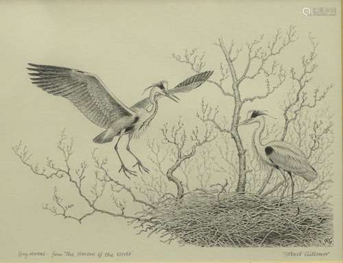 •Robert Gillmor. Grey heron - from Herons of the World, pencil drawing, signed and titled, 15cm x