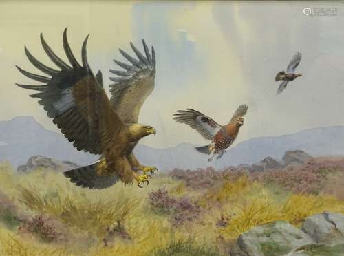 •John Cyril Harrison (1898-1985). A study of a Golden Eagle in flight attacking Grouse, in a