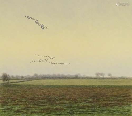 •Bruce Edward Pearson (b.1950). A winter scene with Barnacle Geese in flight over fields,