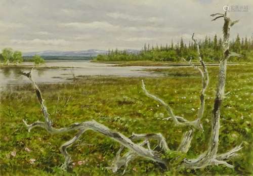 •Bruce Edward Pearson (b.1950 ). A view of Lake Annsjon, Norway, with a dead tree in the