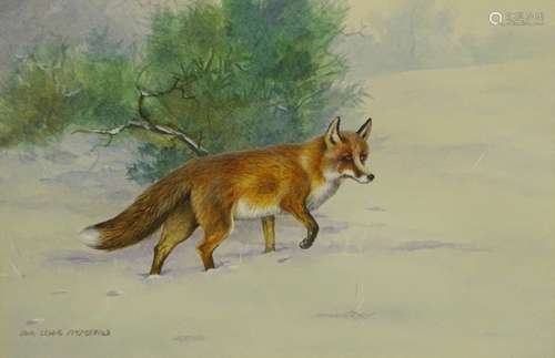 •John Lewis Fitzgerald (b.1945). Study of a Fox in the snow, watercolour with body colour, signed,